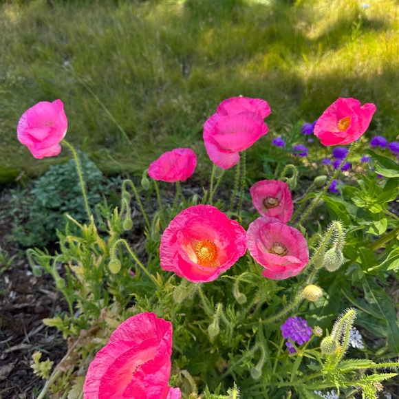 Howdy! - Picture 2 of 7